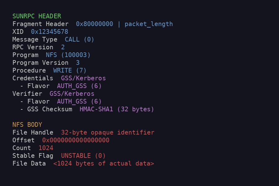 nfs packet format diagram, key details highlighted below